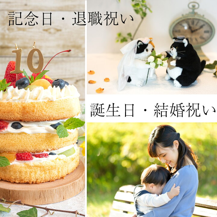 楽天市場 お見舞い 快気祝い 退院祝い 誕生日 結婚祝い 結婚記念日 お祝い 花 プリザーブドフラワー 病院 メッセージ 花 ブリザード かわいい オレンジ ピンク 小さなバスケット ペティパニエ 花ギフト サンクスブーケ 楽天市場 お見舞い 快気祝い 退院祝い 誕生日 結婚祝い 結婚記念日 お祝い 花 プリザーブドフラワー 病院 メッセージ 花 ブリザード かわいい オレンジ ピンク 小さなバスケット ペティパニエ 花ギフト サンクスブーケ