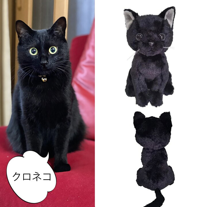 楽天市場 猫 ねこ ぬいぐるみ 三毛猫 黒猫 サバトラ 黒猫 茶トラ プレゼント ギフト 子供 彼女 にゃんこ かわいい 贈り物 おじいちゃん おばあちゃん 誕生日 女の子 猫好き 男の子 入学祝い 卒園祝い お見舞い 猫のぬいぐるみ 花ギフト サンクスブーケ