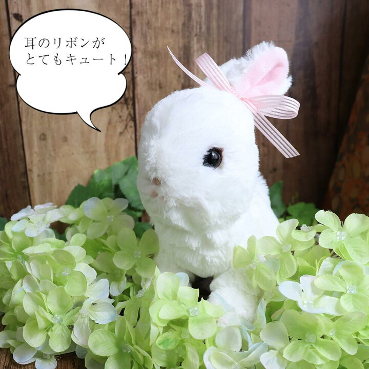 楽天市場 うさぎ ぬいぐるみ 誕生日 プレゼント クリスマス 女の子 彼女 子供 小さい ふわふわ セット商品 プリザーブドフラワー 花 ハート かわいい 誕生日 結婚祝い 結婚式 電報 祝電 贈り物 うさぎハート 花ギフト サンクスブーケ 楽天市場 うさぎ ぬいぐるみ 誕生日 プレゼント クリスマス 女の子 彼女 子供 小さい ふわふわ セット商品 プリザーブドフラワー 花 ハート かわいい 誕生日 結婚祝い 結婚式 電報 祝電 贈り物 うさぎハート 花ギフト サンクスブーケ