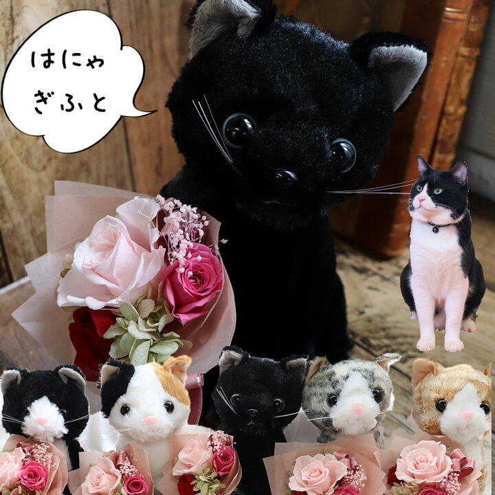 楽天市場 プリザーブドフラワー 花束 ネコ 猫 ねこ ぬいぐるみ 三毛猫 黒猫 サバトラ 黒猫 茶トラ プレゼント ギフト 子供 彼女 にゃんこ かわいい 贈り物 おじいちゃん おばあちゃん 誕生日 女の子 猫好き 男の子 入学祝い 卒園祝い お見舞い はにゃぎふと 花