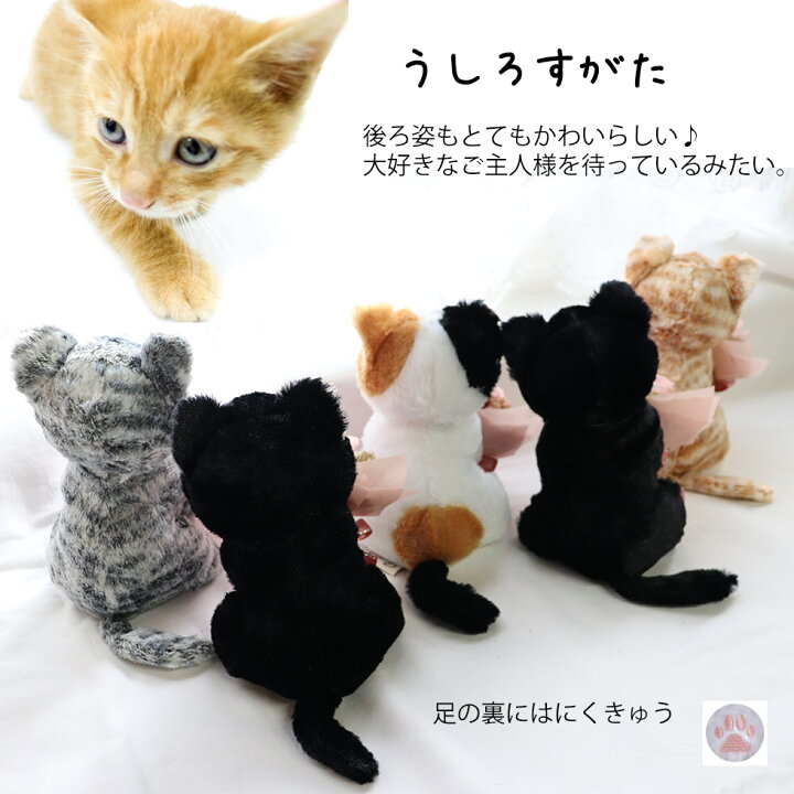 楽天市場 プリザーブドフラワー 花束 ネコ 猫 ねこ ぬいぐるみ 三毛猫 黒猫 サバトラ 黒猫 茶トラ プレゼント ギフト 子供 彼女 にゃんこ かわいい 贈り物 おじいちゃん おばあちゃん 誕生日 女の子 猫好き 男の子 入学祝い 卒園祝い お見舞い はにゃぎふと 花