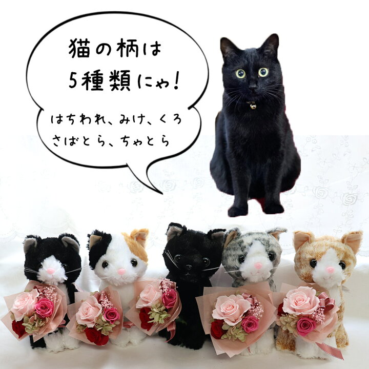 楽天市場 誕生日プレゼント 猫好き プレゼント 母 祖母 かわいい 猫 ぬいぐるみ 花 22 プリザーブドフラワー 花束 ネコ 猫 ねこ 三毛猫 黒 猫 サバトラ 黒猫 茶トラ プレゼント ギフト 彼女 にゃんこ かわいい 贈り物 おばあちゃん 入学祝い お見舞い はにゃぎふと