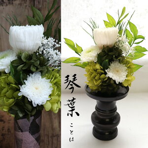 ~  vU[uht[  ~j Ȃ   ~ 49 ~   uU[uh vU Ȃ 䋟 䕧O 蕨 r  ͂Ȃ   Fl 