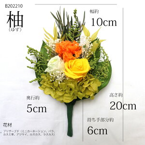 vU[uht[  ~j Ȃ ~  ̓Q ̓Q r   49 ~   5000~ vU Ȃ 䋟 䕧O 蕨  ͂Ȃ 