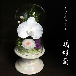  Ӓ vU[uht[ ~  KXh[   ~ V~ ̐l~  vU[uht[  h[ KXh[ ~j yPizvU[uht