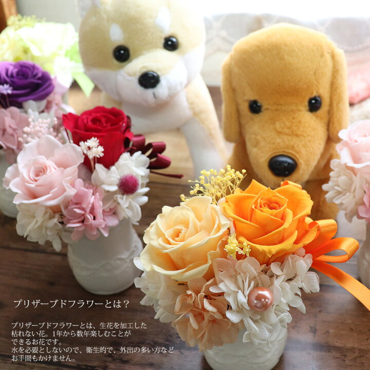 楽天市場 誕生日 お見舞い 母 誕生日プレゼント 女性 かわいい 花 犬 ぬいぐるみ 結婚祝い プレゼント プリザーブドフラワー 犬 電報 ギフト 結婚式 電報 母親 花 わんだ プチフラワーセット プリザーブドフラワー ブリザーブドフラワー お供え ペット 結婚記念日