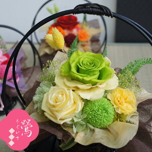 a AW vU[uht[ 2025 hV̓ ̓ {  Sj j  80 c 70  90 2024 j av[g c S 60 70 80 90 100  Ďj