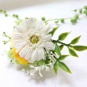 vU[uht[  ~j dp ԁ@e   ԑ uU[h  ~    ~  e ʐ^  K[x ybg 킢   Ƌd 