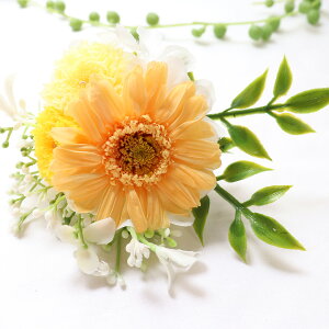 vU[uht[  ~j dp ԁ@e   ԑ uU[h  ~    ~  e ʐ^  K[x ybg 킢   Ƌd 