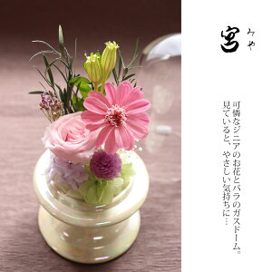 vU[uht[  KXh[ ~  h[  d ~j r r͂͂ ~  蕨  ԁ@@KX@~   u