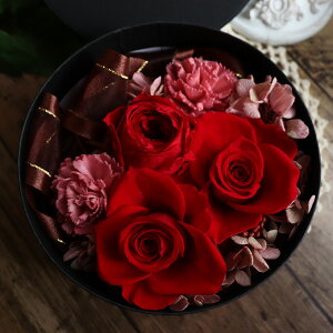 vU[uht[ {bNXt[  jd d j a Mtg v[g 蕨 o zCgf[ ސEj BOX   Fl 20 30 40 킢   uU