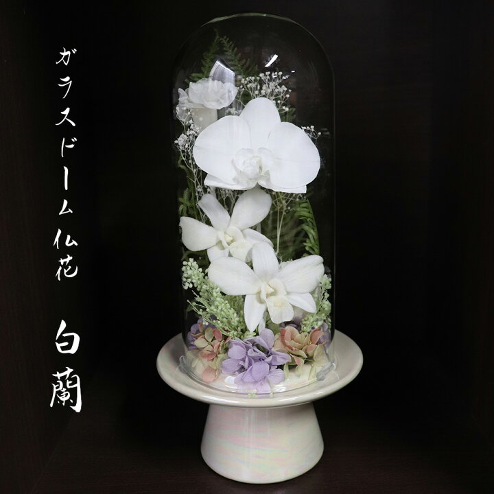 楽天市場】喪中見舞い プリザーブドフラワー 仏花 胡蝶蘭 ドーム 初盆 