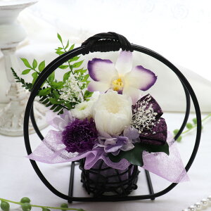 ~  ̓Q r r͂͂ V~ V~ ~  ~   AWg ݁E  蕨 vU[uht[  V~ 