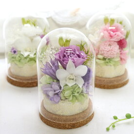 プリザーブドフラワー お供え ドーム 喪中見舞い 初盆 花 ガラスドーム 花 お盆 お供え物 花 父の日参り お悔やみ・お供え お悔やみ の花 贈り物 プリザーブドフラワー 仏花 新盆 お盆飾り 弔電 電報 仏壇 花 プリザーブド 仏壇 花 コルクガラスドーム 「コロン」