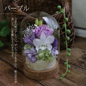 vU[uht[  h[ r ~  KXh[  ~   ̓Q ݁E  ̉ 蕨 vU[uht[  V~ ~ 