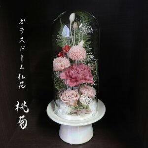 r ~  KXh[  ̓Q  vU[uht[ h[ dp vU[uht[  dp h[ ʔv  䋟   uU[ht