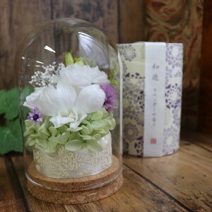 r ~   V~ KXh[ vU[uht[  Zbg ̓Q  ~ ̓Q  AWg  ̉ 蕨  V~ d d d  v