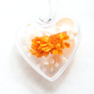 yPiwszy̏iƈꏏɂwzn[g `[ vU[uht[ ʂ݂ƂꏏɁBȃn[g`[B