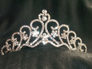 S[WXȃeBAvZX̋PIEGfBOhXɁICiӂ鉤wDȃAxXNx