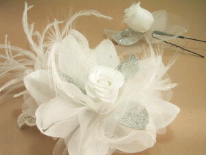 wART[WUs2_ZbgtFU[ƃ[XS[WXGuC_[Of[VwbhRT[WZbg