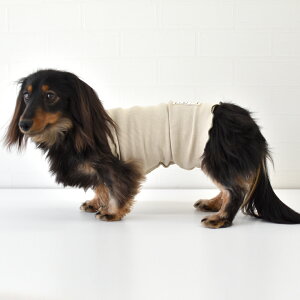 (ꕔ\񏤕i12/5)u͂܂ ͂܂@@p@ybgObY@߁@₷@ {fB[EH[}[  [΍ VjA ps[    snowdrop@䂤