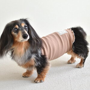 リブはらまき はらまき 腹巻き 犬用腹巻き ペット ペットグッズ あたため 着せやすい 犬 ボディーウォーマー 腸活 冷房対策 シニア パピー 犬 服 介護 snowdrop ゆうパケット対応