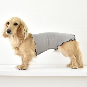 Xbgu͂܂ ͂܂@@p@ybg@ybgObY@߁@₷@ {fB[EH[}[  [΍ VjA ps[    snowdrop@䂤pPb