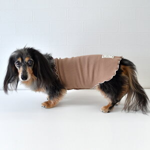 (ꕔ\񏤕i12/5)Xbgu͂܂ ͂܂@@p@ybg@ybgObY@߁@₷@ {fB[EH[}[  [΍ VjA ps[   