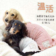 スリットケーブルはらまき プリント名入れ 腹巻き 犬用腹巻き ペット ペットグッズ あたため 着せやすい …