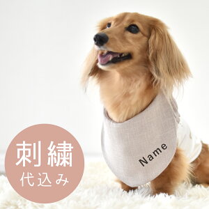 N[lbN    ĕ  hJ snowdrop N[o_i N[ lbNN[[ Mǖh~ MǑ΍   ^䂤pPbgΉ