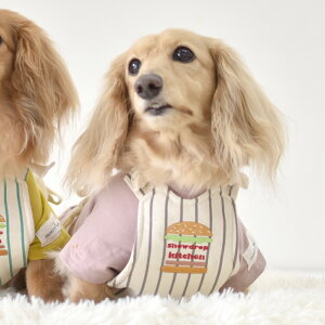 N[Gv N[oh no[K[ ۗܓ MǑ΍@N[Gv  ybgp ΍ p Lp snowdrop ⊴ p ߂ ^