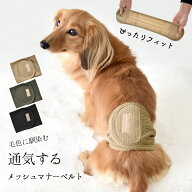 メッシュマナーベルトマナーベルト プリント名入れ マナーウェア トイレ用品 マナーバンド ドッグウエア …