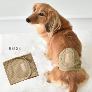 ���b�V���}�i�[�x���g�}�i�[�x���g �}�i�[�E�F�A �g�C���p�i �}�i�[�o���h �h�b�O�E�G�A �}�[�L���O�h�~ �X�g���b�` �̂т̂� snowdrop ��� �p�i �䂤�p�P�b�g�Ή�