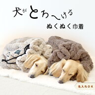 (予約商品の為発送日10/23)巾着 ぬくぬく モコモコ 暖か 防寒 可愛い 防寒 もこもこ 毛布 多機能　マルチ…