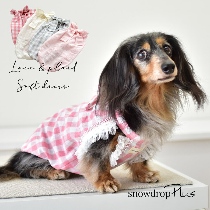 楽天市場】【在庫処分セールの為返品交換不可】袖レース付き ダックス  