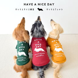 ダックス　HAVE A NICE DAY　フレンチ袖Tシャツ