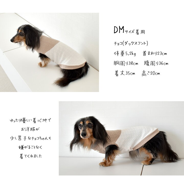 楽天市場】ダックスサイズ ケーブル切り替え 名入れ 刺繍 タンクトップ 