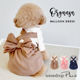 (在庫処分SALEの為返品交換不可)シフォンワンピース 重ね着　リブ　ふんわり　可愛い　のびのび　ストレッチ　snowdrop ゆうパケット対応