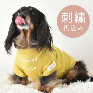 _bNXt`TVc _bNX  hJ   ₷ ̂т̂  Xgb` J[TVc hbNEGA 䂤pPbg