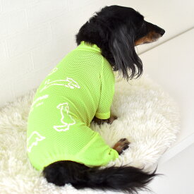 メッシュカバーオール ダックスサイズ 水着 ラッシュガード snowdrop メッシュ ロンパース　オールインワン ストレッチ のびのび 犬 夏服 犬服 ゆうパケット対応