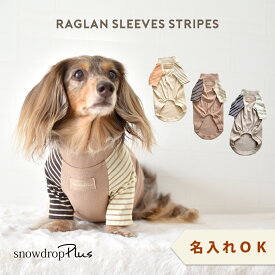 ダックスサイズ new 両袖ボーダーTシャツ 犬服 snowdrop ドッグウェア 着せやすい 伸縮 ストレッチ のびのび おしゃれ Tシャツ ボーダー ペット かわいい DOG dog ゆうパケット対応