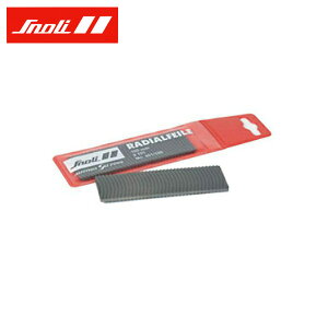 Xm[[ Snoli gڃt@C100mm TS0074 XL[ Xm[{[h Xm{