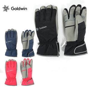 XL[ O[u LbY WjA GOLDWIN S[hEC 2023 GJ81321P / Jr. Multi Ski Gloves {Ki
