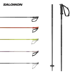 SALOMON T XL[ |[ XgbN Y fB[X 2026 POLAR / L47630800 yA~z