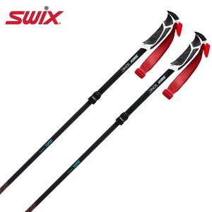 SWIX XEBbNX XL[ |[ XgbN 2026 \jbN R1 DEMO / AR112-1DyLkz