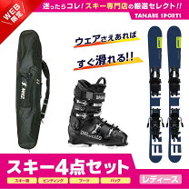 楽天市場】ショートスキー ケース（ブランドエラン）の通販