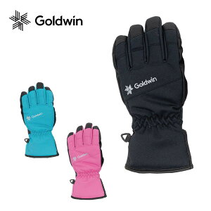 GOLDWIN S[hEC XL[O[u LbY WjA2025 Jr. Multi Ski Gloves / GJ84300 {Ki