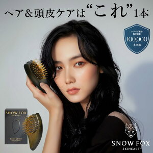 픃Aꂾ SNOW FOX SKINCARE  v~A FOX JbT S[Xg wAuV ؐ ubN  wAPA Xm[tHbNX wbhXp v[g Mtg XJv wb
