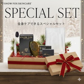 【予約特典付き】ヘアケア セット 旅行 トラベル クルエルティフリー ユニセックス ヴィーガン エシカル スノーフォックス ホリデー ギフト プレゼント 福袋 SNOW FOX SKINCARE 公式 ゴーストブラシ ブラックスペシャルキット
