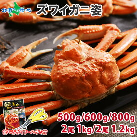 【ギフト】カニ ズワイガニ ボイル 姿 （500g/600g/800g/500gx2尾/600gx2尾） かに カニ ボイル ズワイガニ 姿 蟹姿 ズワイ蟹 ずわいがに ボイルズワイガニ カニ 蟹 ボイル かに 鍋 かに カニ ギフト 蟹 カニ 父の日 母の日 食べ物 Gift お取り寄せ 母の日 海鮮 グルメ